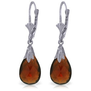 6 Carat 14K Solid White Gold Glances From You Garnet Earrings